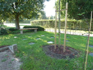 Friedhof Pattensen Baumbestattungen